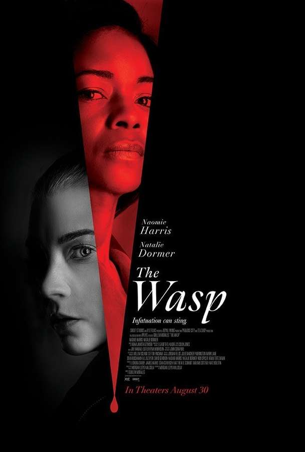 The Wasp: V napínavém thrilleru žena plánuje manželovu vraždu | Fandíme filmu