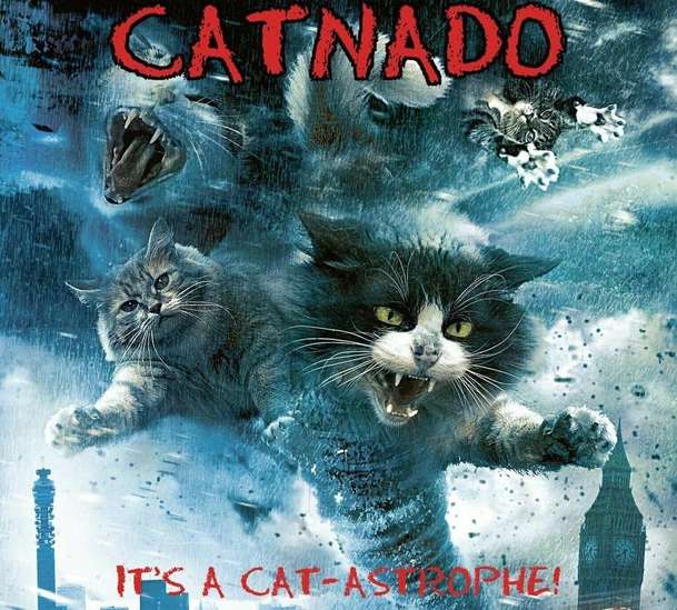 Catnado: Čičiny kráčí ve stopách žraloků v novém hororu | Fandíme filmu