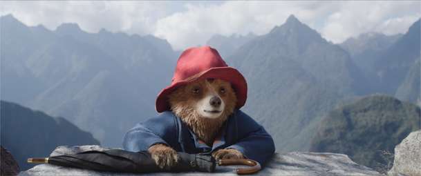 Paddington v džungli: Nový trailer přetéká dobrodružstvím | Fandíme filmu