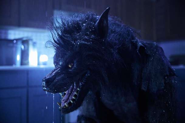 Werewolves: Frank Grillo likviduje vlkodlaky v novém akčňáku | Fandíme filmu