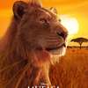 Mufasa: Lví král nás chce omámit nostalgií a artovým režisérem | Fandíme filmu