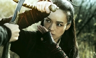 Assassin: Chválený epos o čínské vražedkyni | Fandíme filmu