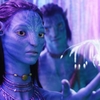 Avatar: V čem se budou pokračování lišit a proč nás zaujmou | Fandíme filmu